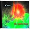     
: Pilesar-disk2.jpg
: 1204
:	12.4 
ID:	1137