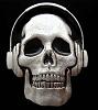     
: skull_headphones_buckleshop.jpg
: 1807
:	29.4 
ID:	4502