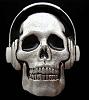     
: skull_headphones_buckleshop.jpg
: 1789
:	29.4 
ID:	4502